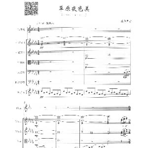 草原夜色美 富鲁格 弦乐队 钢片琴 王和声