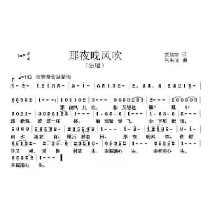 那夜晚风吹_通俗唱法乐谱_词曲:范修奎 张朱论