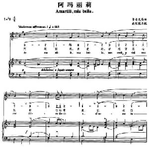 阿玛丽莉_外国歌谱_词曲: 卡奇尼作曲 尚家骧译配