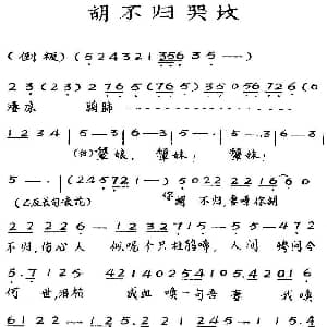 粤曲 胡不归哭坟 新马腔