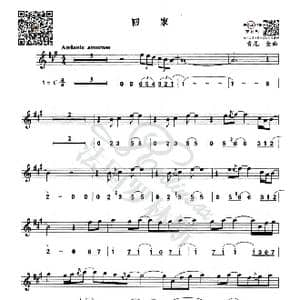 回家_歌谱投稿_词曲:无 Kenny G