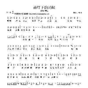 路灯下的蚂蚁_歌曲简谱_词曲:张扬 张扬