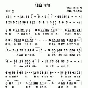独自飞翔_通俗唱法乐谱_词曲:刘伯成 快乐老天