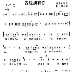 曾经拥有你_通俗唱法乐谱_词曲:林垂直 林垂直