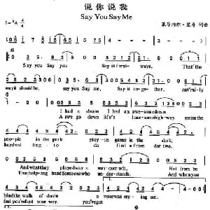 Say You Say Me 美国 _外国歌谱