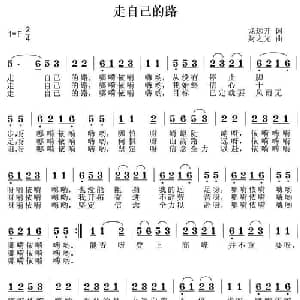 走自己的路_通俗唱法乐谱_词曲:龙远开 封之光