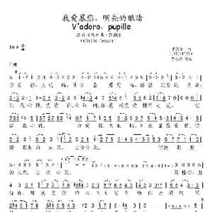 我爱慕您,明亮的眼睛_歌谱投稿