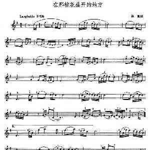 小提琴谱 | 在那桃花盛开的地方 铁源