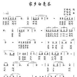 家乡的白毫茶_民歌简谱_词曲:罗梅枝 罗梅枝 刘畅英