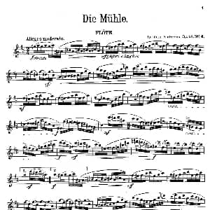 长笛曲谱 | Die Mühle Op.55 No.4 丹麦 安德森