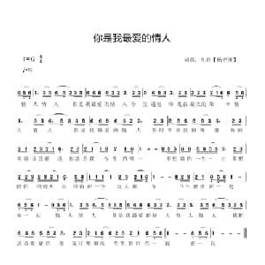 你是我最爱的情人_通俗唱法乐谱_词曲:杨守刚 杨守刚