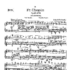 53首以肖邦练习曲为素材而作的练习曲 钢琴谱 里奥鲍尔德 戈多夫斯基