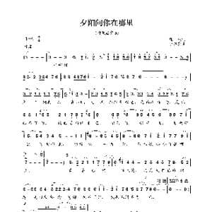 夕阳问你在哪里_歌曲简谱_词曲:庄奴 小谷充