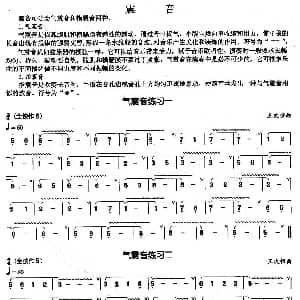葫芦丝谱 | 葫芦丝基本技巧练习曲 震音