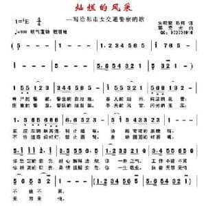 灿烂的风采_民歌简谱_词曲:朱积聚 陈辉 郭克光