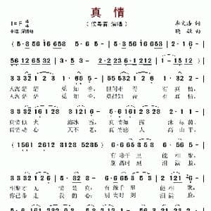 真情_歌谱投稿_词曲:李文浩 晓敏