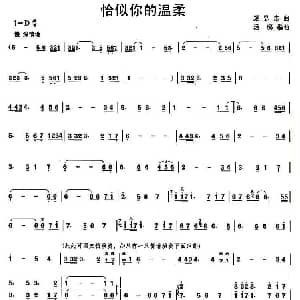 笛子谱 | 恰似你的温柔