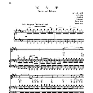 夜与梦_外国歌谱_词曲:科林 舒伯特