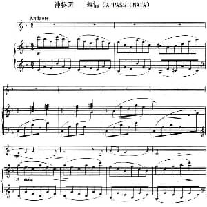 小提琴谱 | 神秘园 热情 APPASSIONATA