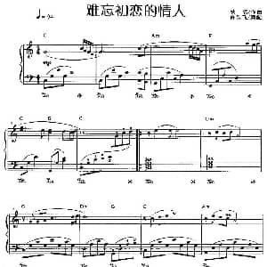 难忘初恋的情人 钢琴谱 许乐飞