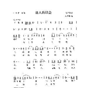 迷人的织金_歌曲简谱_词曲:备选歌词 刘泽湖