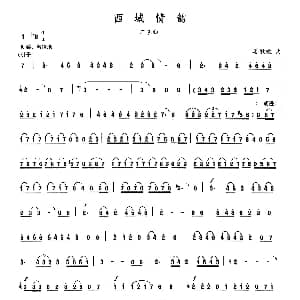 二胡谱 | 西域情韵 晏敏敏