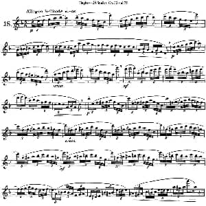 长笛曲谱 | 胡埃斯24首长笛练习曲Op.32 NO.18 胡埃斯