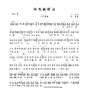 相思的眼泪_歌曲简谱_词曲:小淳 李勇