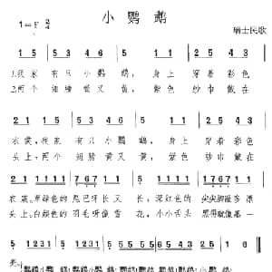 小鹦鹉 瑞士 _外国歌谱