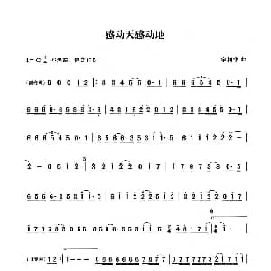笛子谱 | 感动天感动地 笛子演奏谱 宇桐非