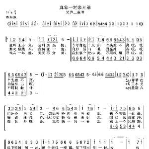 真象一对亲兄弟_歌谱投稿