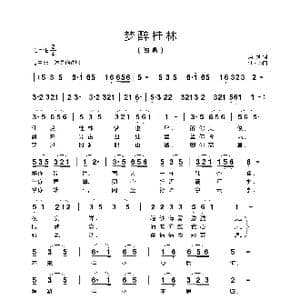 梦醉桂林_歌曲简谱_词曲:黄, 灿 汪天亮