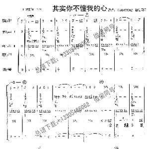 其实你不懂我的心_歌曲简谱