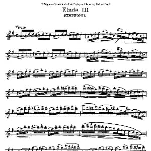 长笛曲谱 | 长笛演奏基础教程练习 Etude 3 E Wagner E 韦格