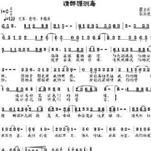 情醉湄洲岛_民歌简谱_词曲:倪永东 邹兴淮