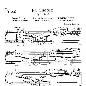 53首以肖邦练习曲为素材而作的练习曲 钢琴谱 里奥鲍尔德 戈多夫斯基