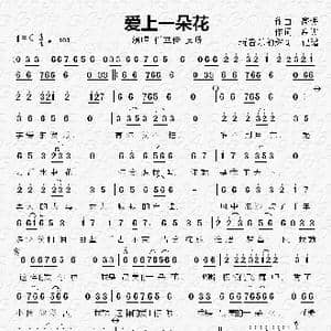 爱上一朵花_歌谱投稿_词曲:高进 高进