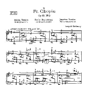 53首以肖邦练习曲为素材而作的练习曲 钢琴谱 里奥鲍尔德 戈多夫斯基