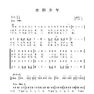 太阳少年_歌曲简谱_词曲:王晨湖 宋小兵