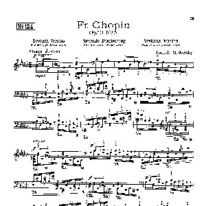 53首以肖邦练习曲为素材而作的练习曲 钢琴谱 里奥鲍尔德 戈多夫斯基