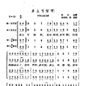 多么可惜呀！ 印尼 _外国歌谱_词曲:林开瑞译词 朱明超配歌