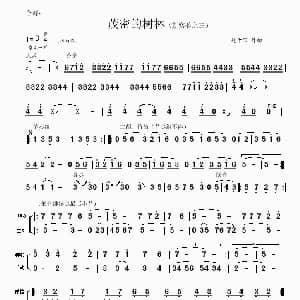 茂密的树林 爵士风格的民乐小合奏 赵千里