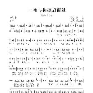 一生与你擦肩而过_歌曲简谱_词曲:荣辉 荣辉