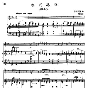 哈利路亚 Alleluja 小号独奏 钢琴伴奏 莫扎特