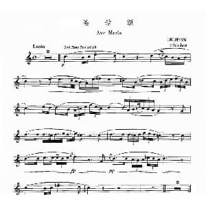 长笛曲谱 | 圣母颂 舒伯特作曲版 奥 舒伯特