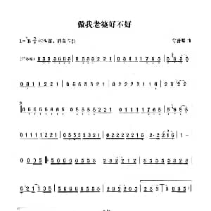笛子谱 | 做我老婆好不好 笛子演奏谱 徐誊滕