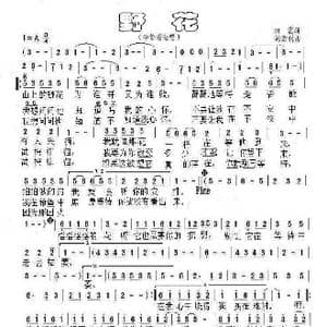 野花_歌谱投稿_词曲:田震 刘君利