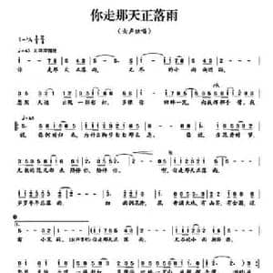 你走那天正落雨_民歌简谱_词曲:石顺义 张伟