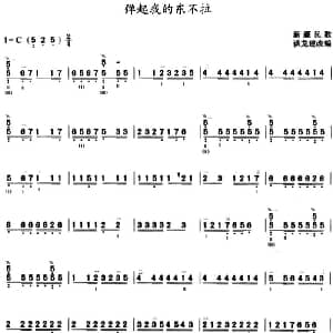 弹起我的冬不拉 三弦 新疆民歌 谈龙建改编