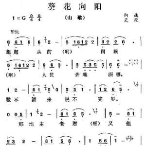 葵花向阳_民歌简谱